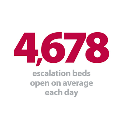 4678 escalation beds.jpg