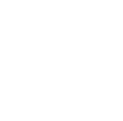 PPHN logo 175.png
